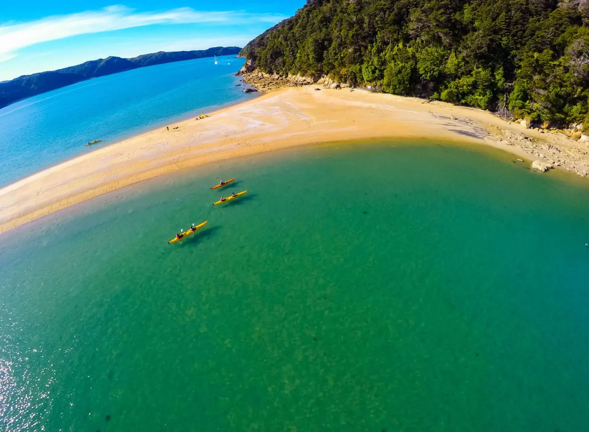 Kayaking beside a golden Abel Tasman beach