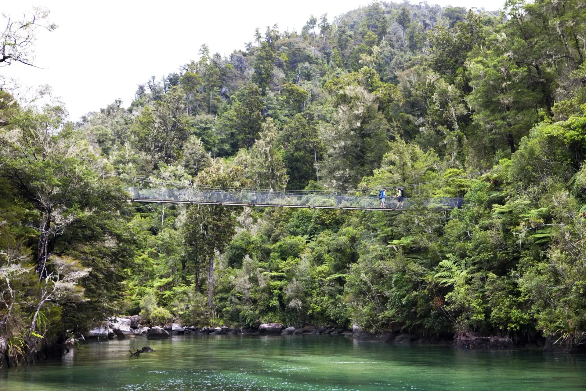 Exploring the Abel Tasman coast by kayak