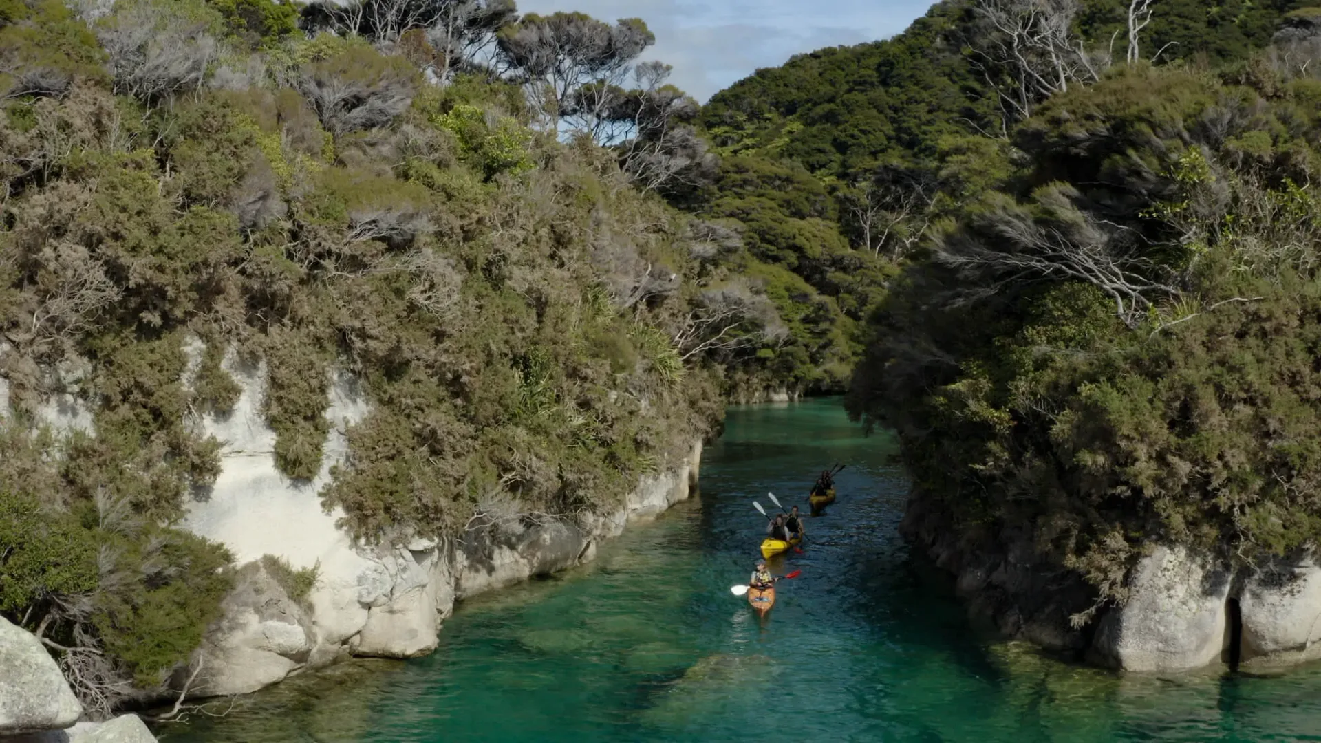Kayakers exploring a narrow inlet in Abel Tasman National Park